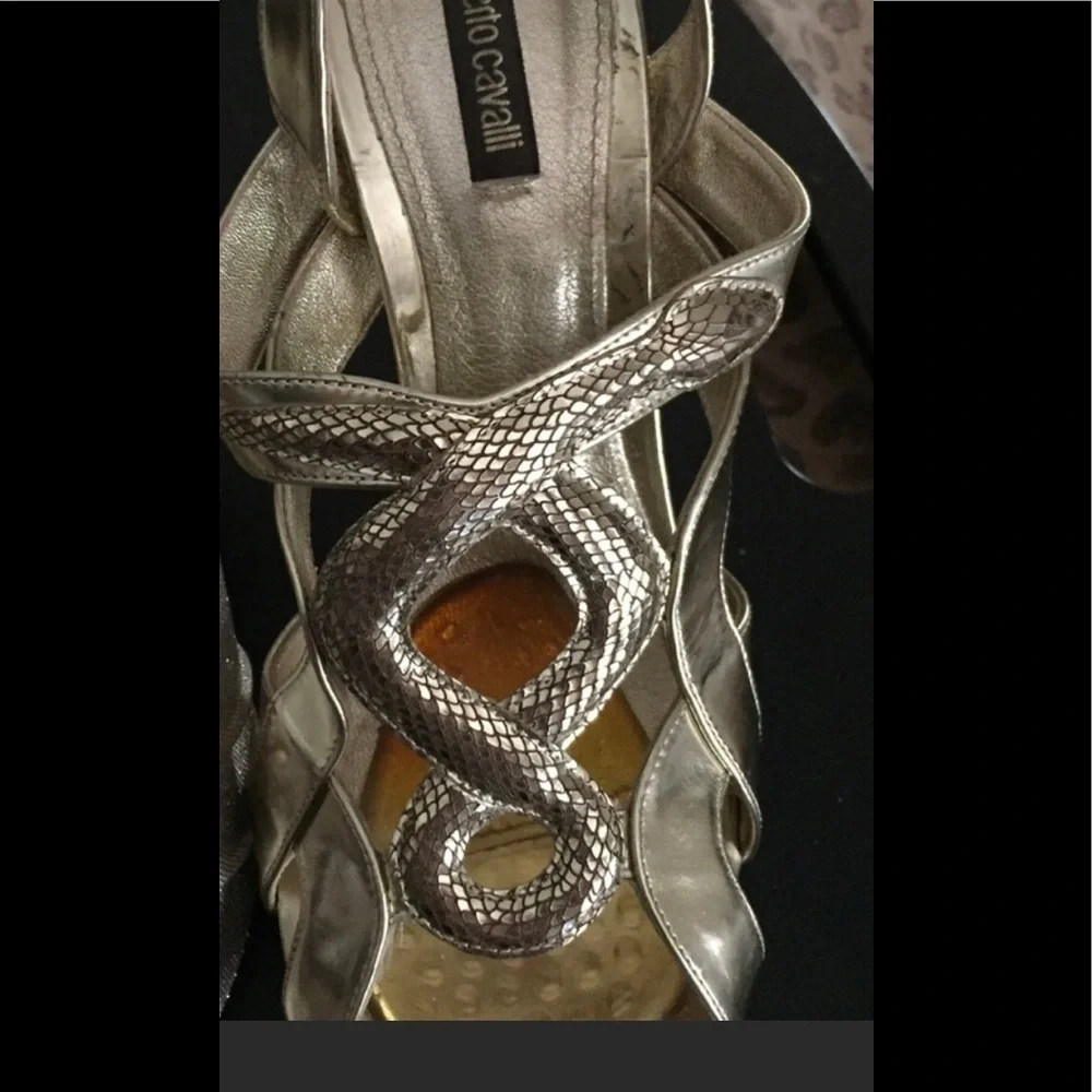 Roberto Cavalli roberto cavalli